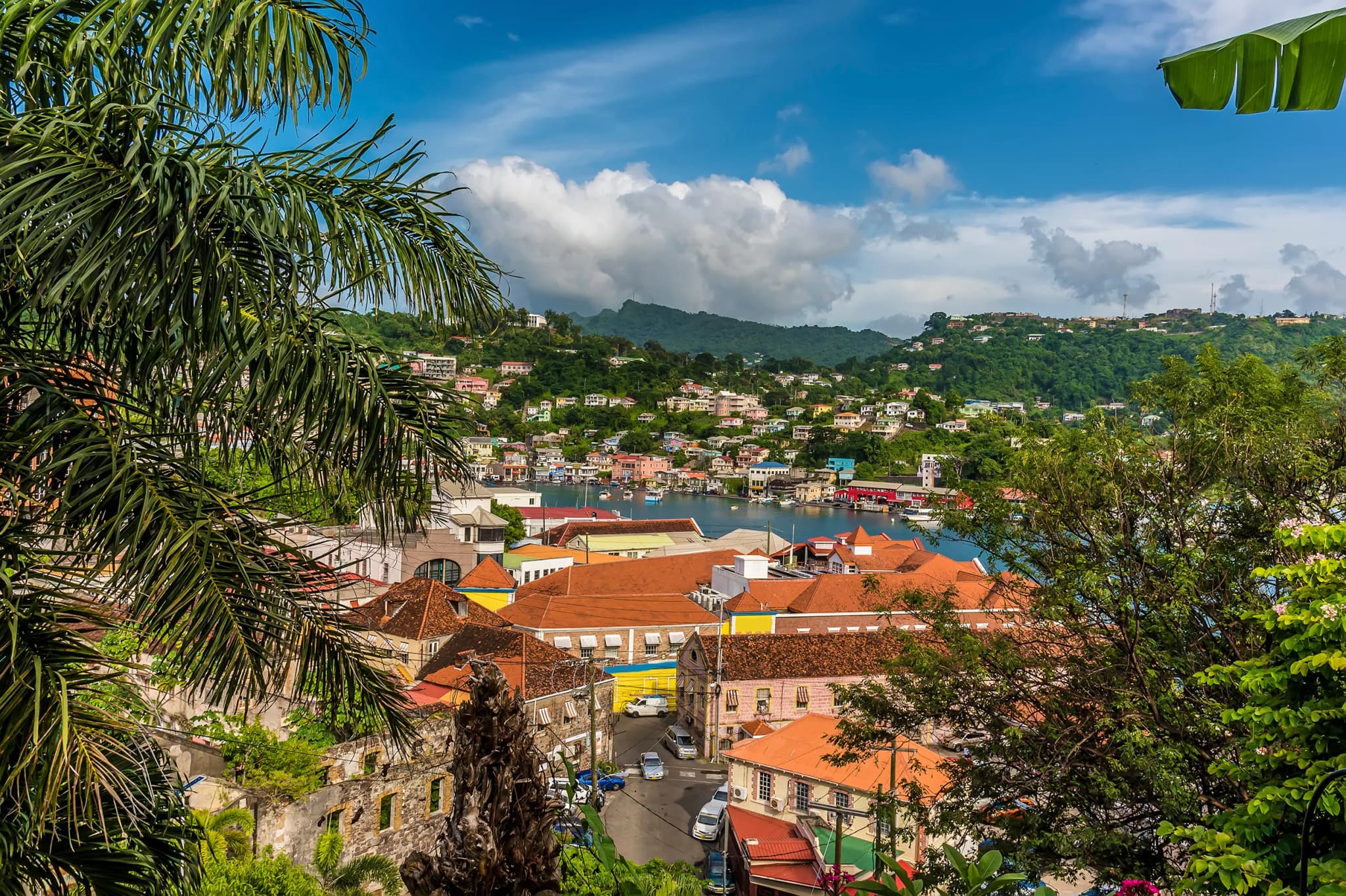 Donation to Grenada’s NTF: Easiest Path to Second Citizenship in 2026