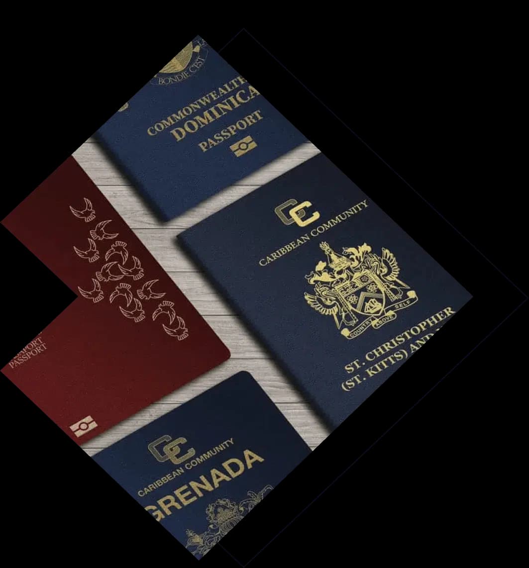 Citizenship by Investment