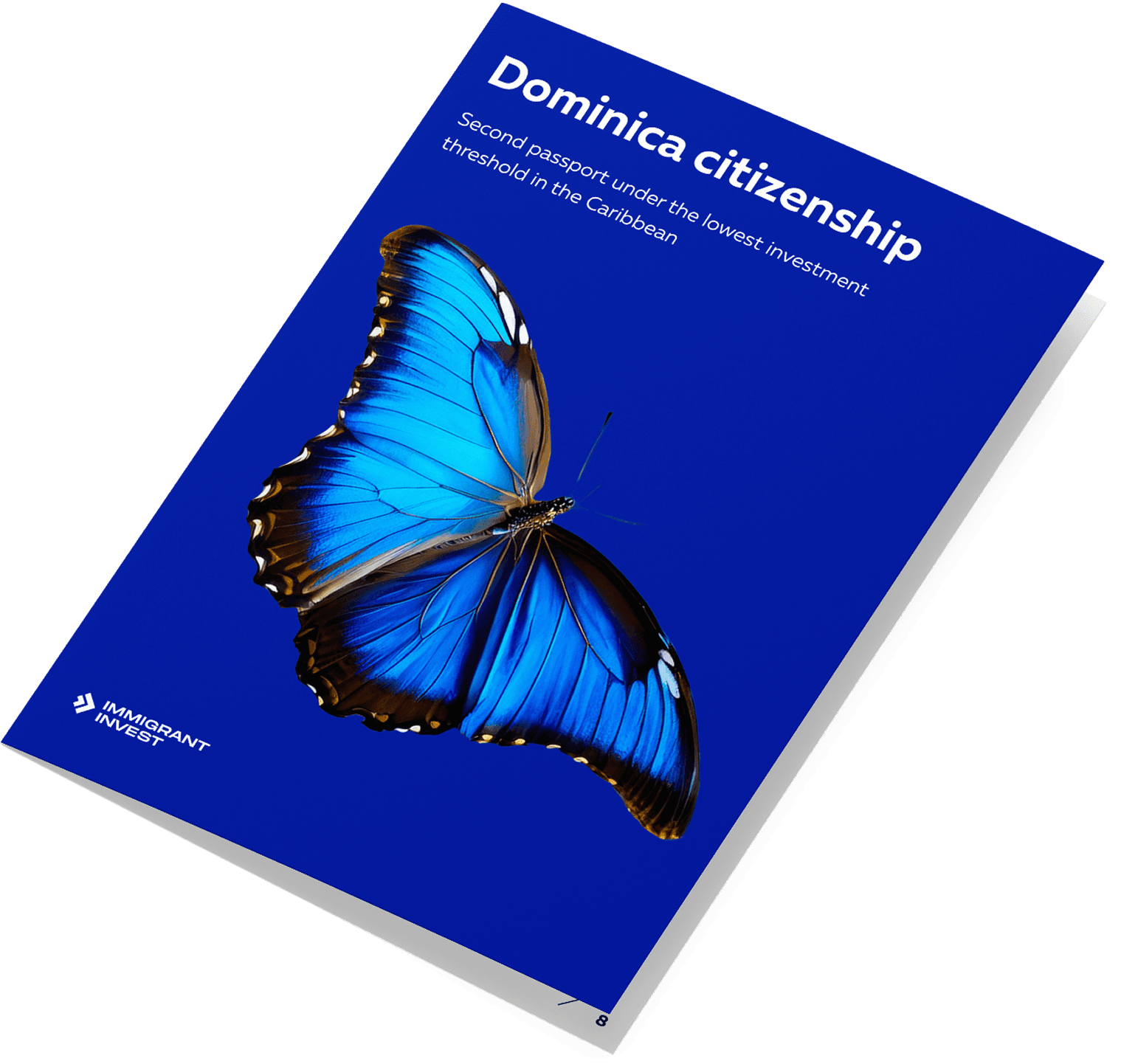 Your complete guide to Dominica citizenship