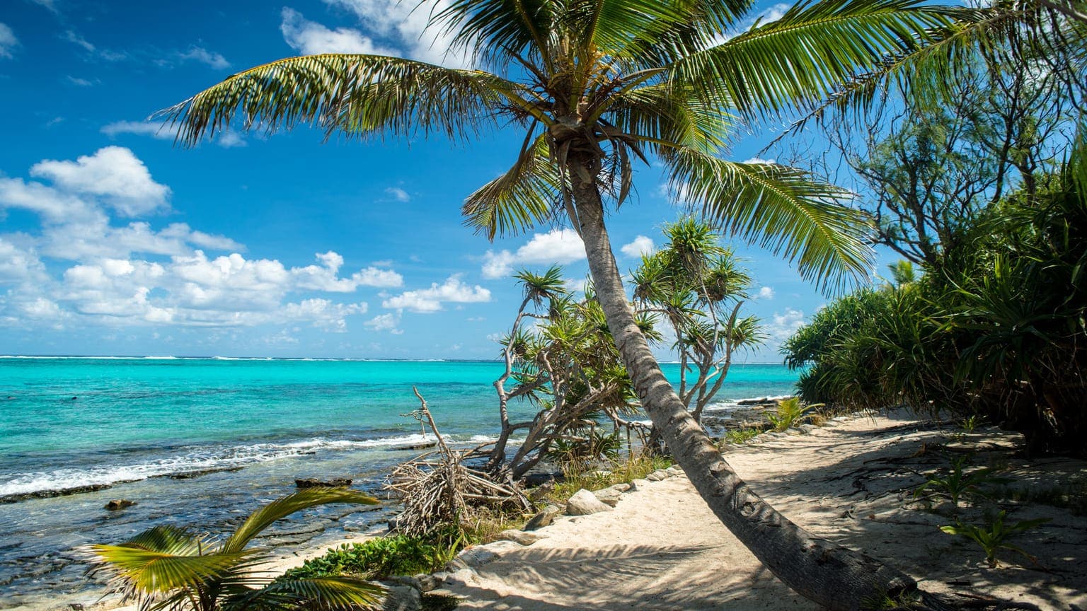 Vanuatu Banking: Top Choices and Account Opening Guide for Investors
