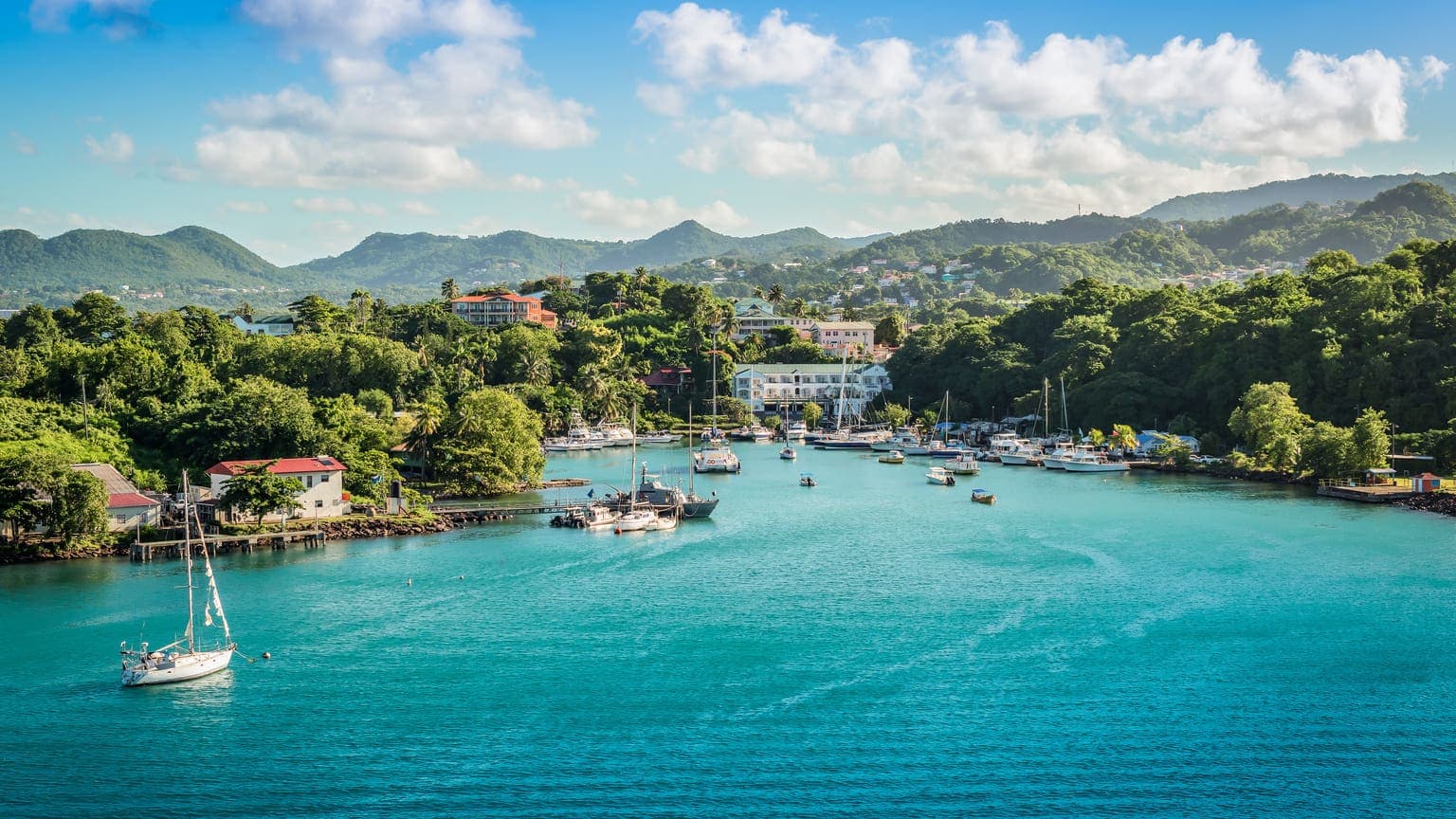 Saint Lucia: New Conditions for Family Members, Timeline for Payment of Fees and Postponement
