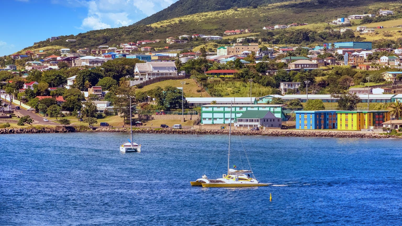 Dual Citizenship in St Kitts and Nevis: All Options Explained Clearly