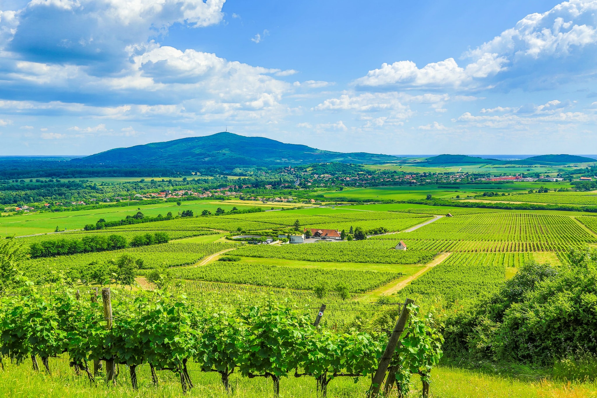 Hungary Investment Visa for moving to Europe: Tokaj Wine Region