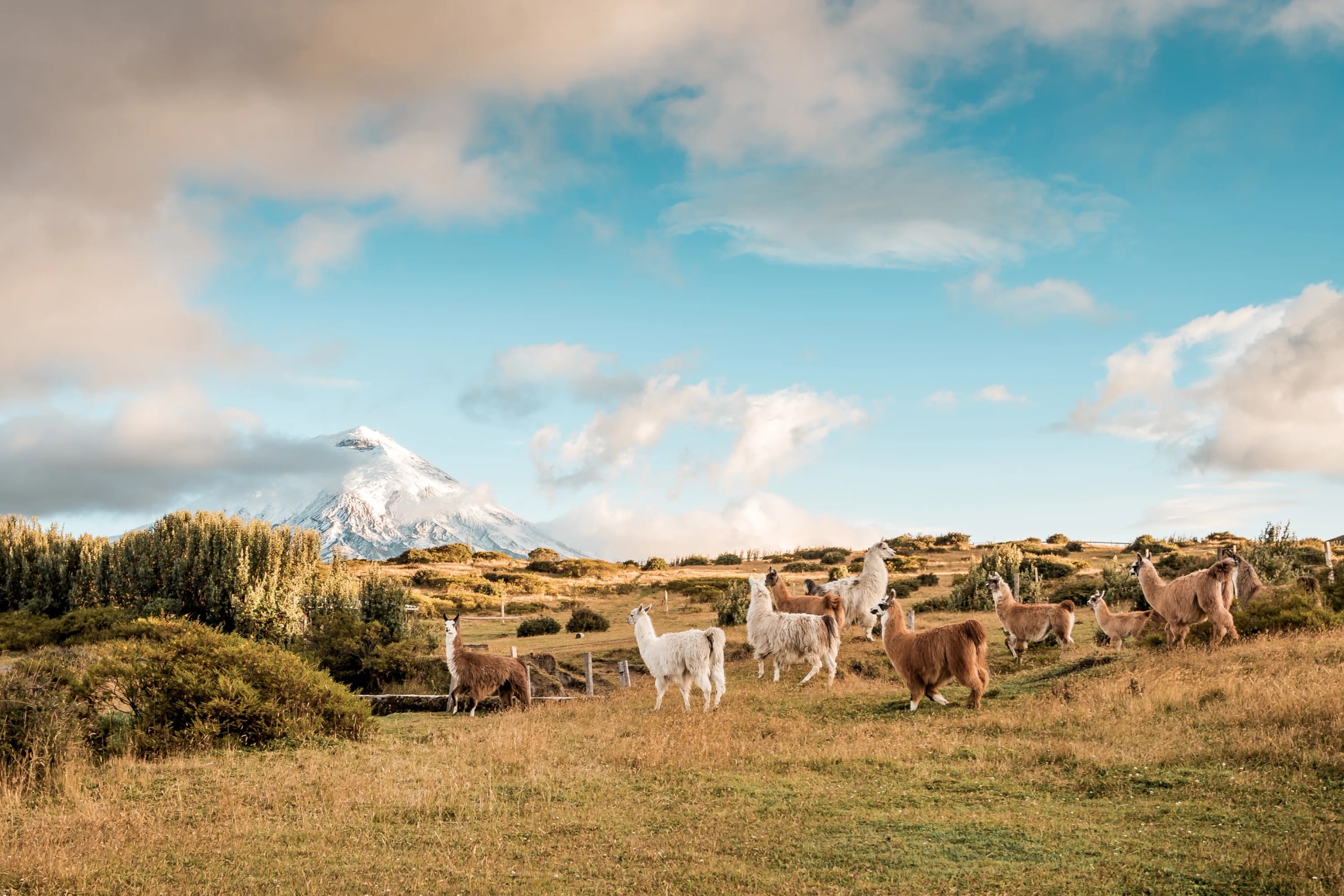 Ecuador Digital Nomad Visa