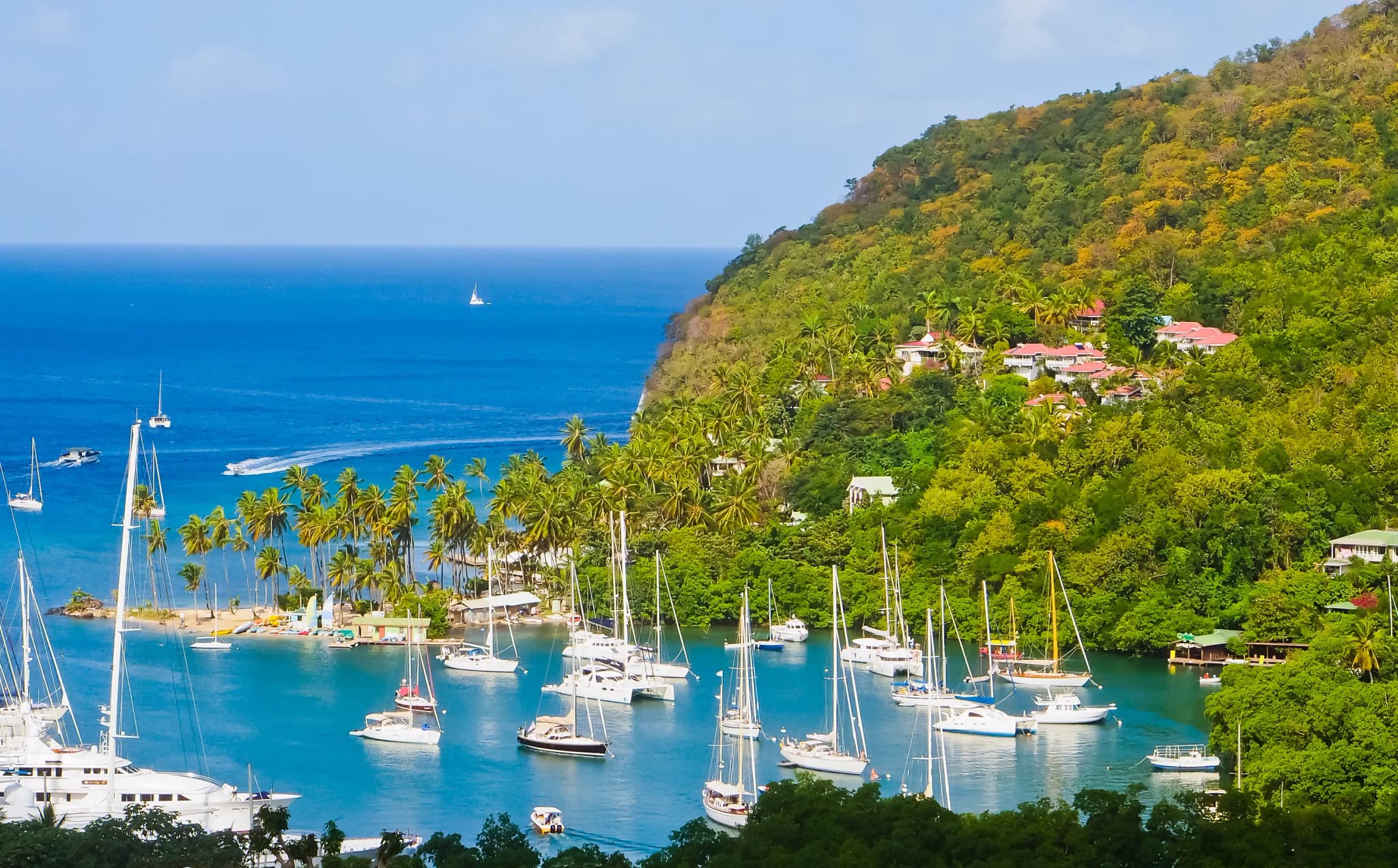 st-lucia-cbi-statistics-414477377