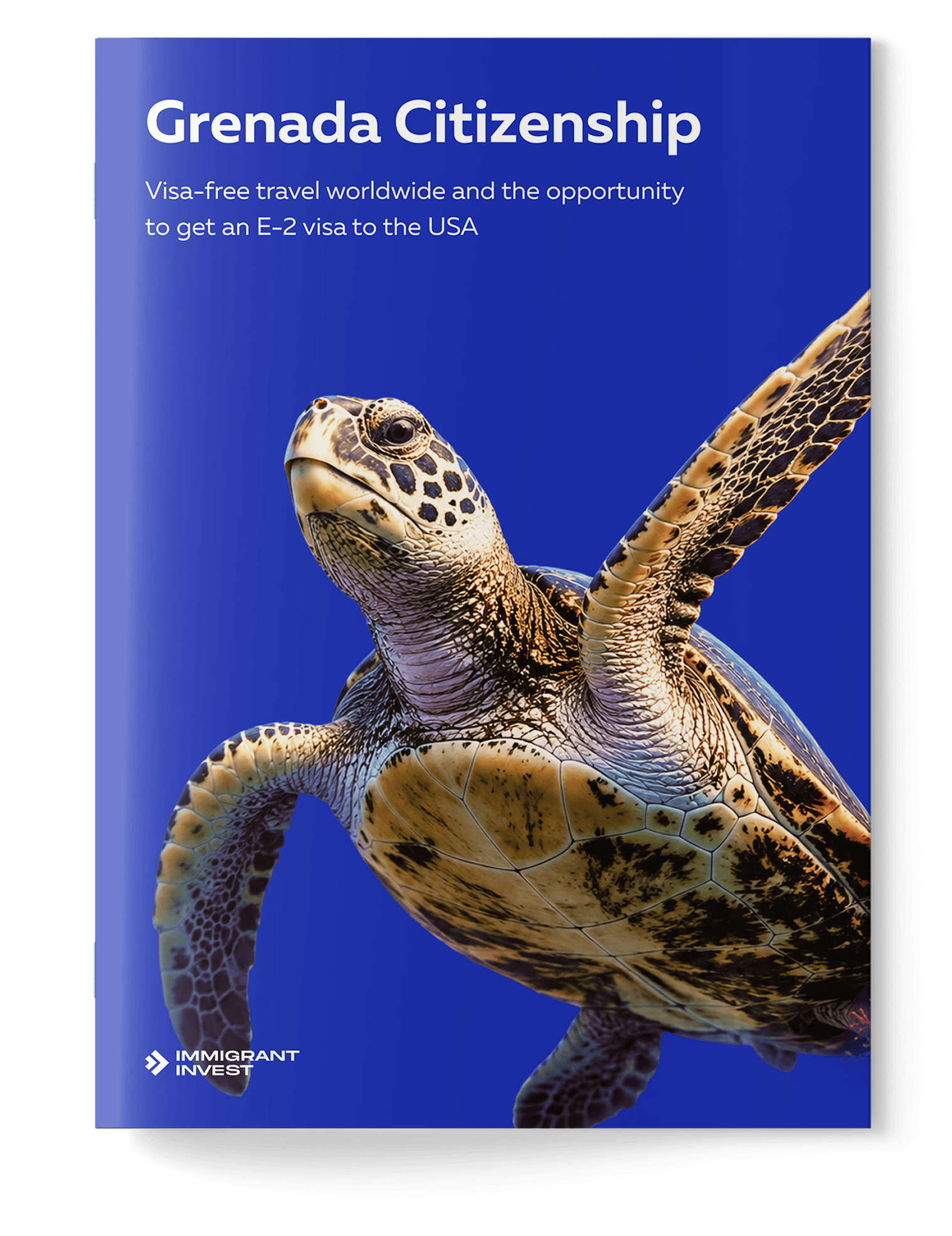 Check your eligibility for Grenada citizenship