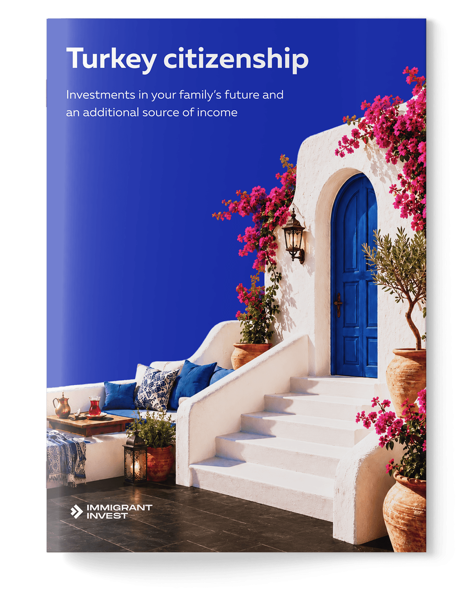 Check your eligibility for Türkiye citizenship