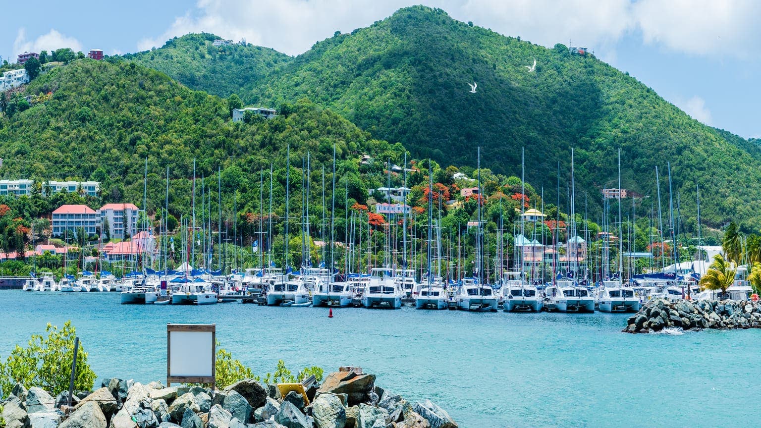Antigua and Barbuda vs St Kitts and Nevis Citizenship: Choose the Strongest Caribbean Passport