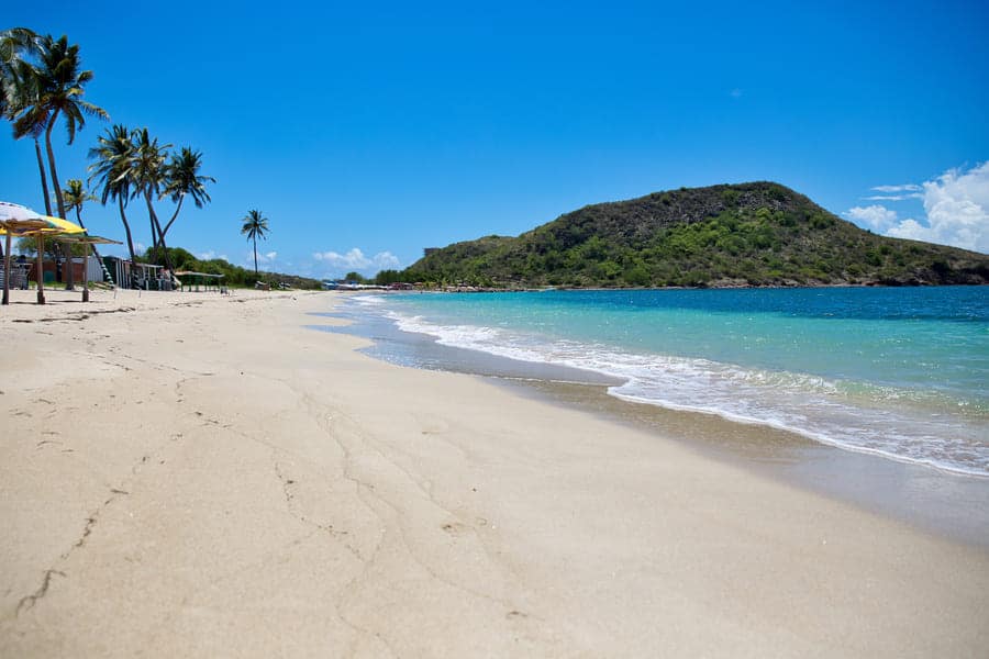 St Kitts vs St Lucia live score: St Kitts and Nevis living standards are higher