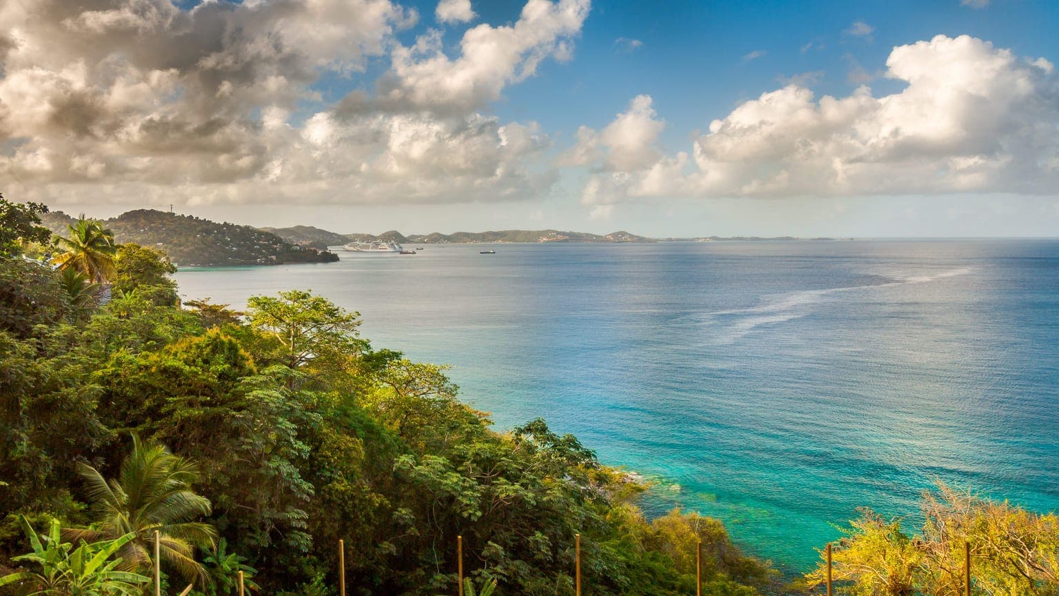 Grenada vs St Lucia Passport: Which Citizneship-by-Investment Program Offers More Value?