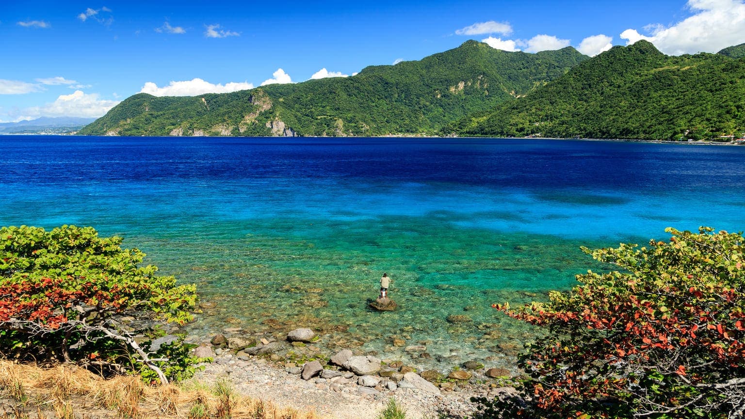 How to Open a Bank Account in Dominica