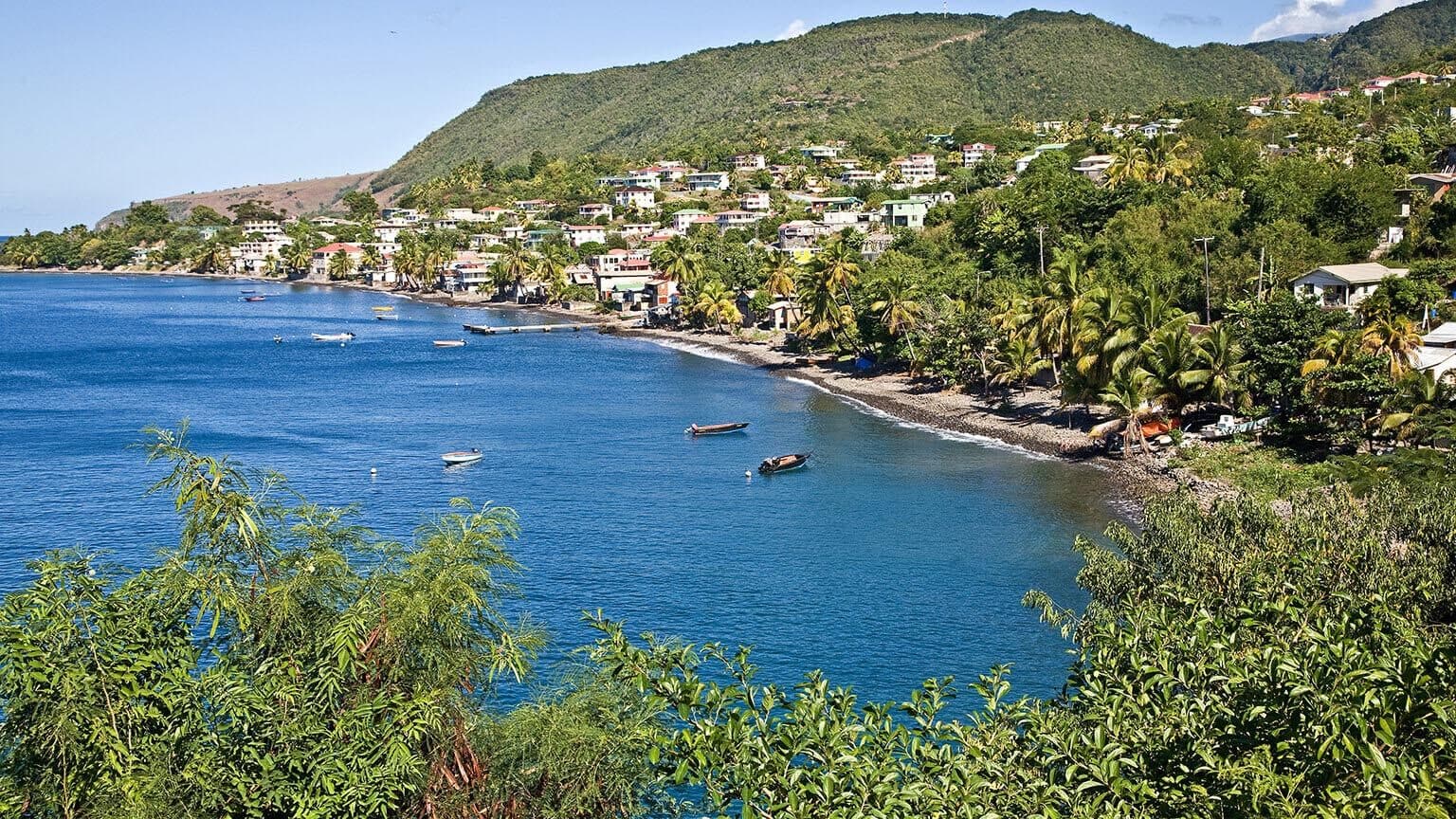 How to Obtain Dominica Citizenship by Investment: Full 2026 Guide
