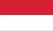 mc-flag