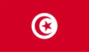 tn-flag